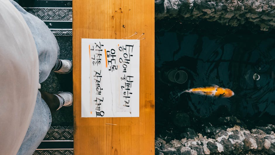 복지 정보 이미지